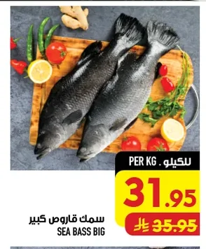 سمك قاروص كبير