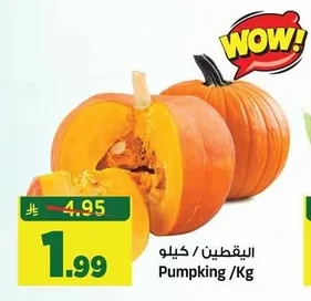 اليقطين
