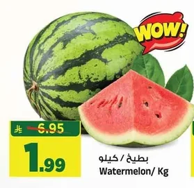 بطيخ