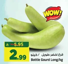 Bottle Gourd Long