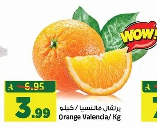 Orange Valencia