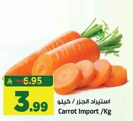 جزر