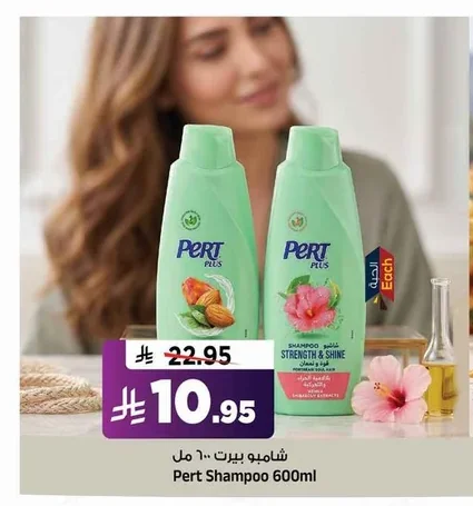 شامبو