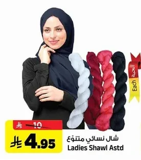 Ladies Shawl Astd