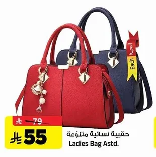 Ladies Bag Astd.