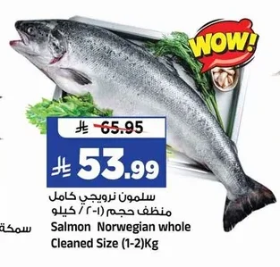 سلمون نرويجي كامل منظف حجم
