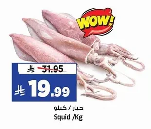 حبار