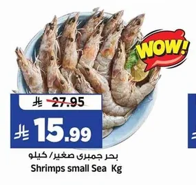 Shrimps small Sea