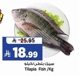 سمك بلطي