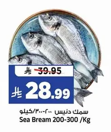 سمك دنيس