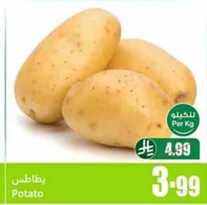 بطاطس