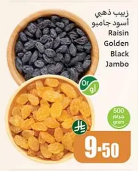 زبيب ذهبي أسود جامبو