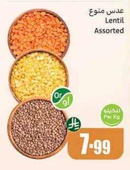 عدس منوع