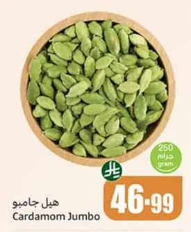 هيل جامبو