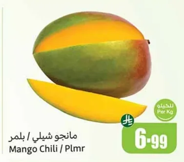 مانجو شيلي / بلمر