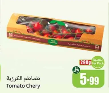 طماطم كرزية