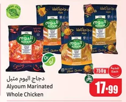 دجاج اليوم متبل