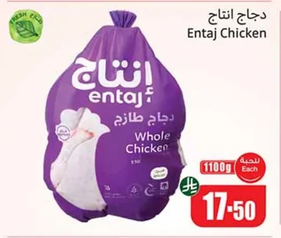 دجاج انتاج