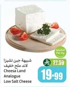 Cheesa Land Analogue Low Salt Cheese