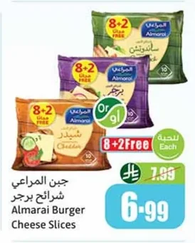 Burger Cheese Slices