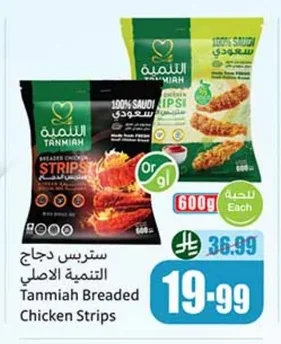 ستربس دجاج التنمية الاصلي