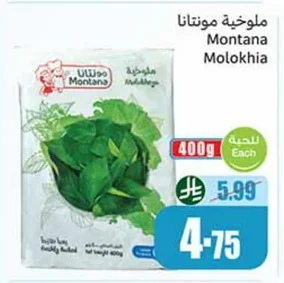 Montana Molokhia