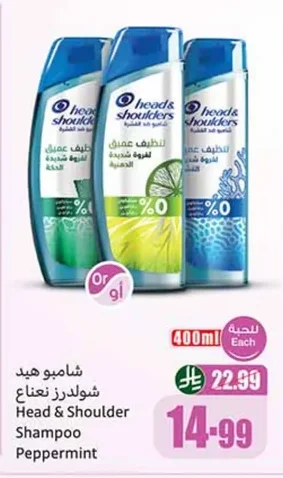 شامبو هيد شولدرز نعناع