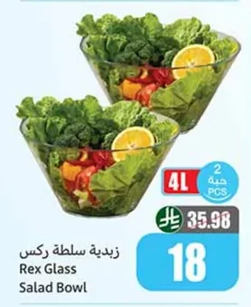 Rex Salad Bowl