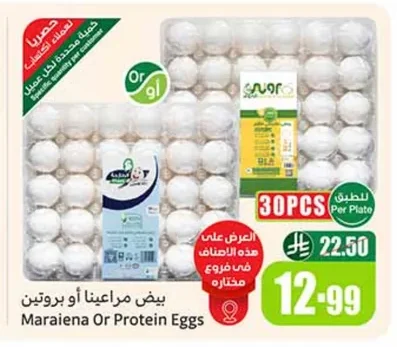 بيض مراعينا أو بروتين