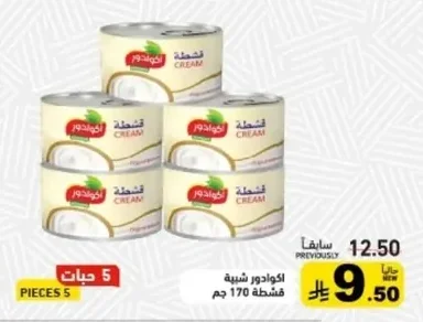 اكوادور شبيه قشطة