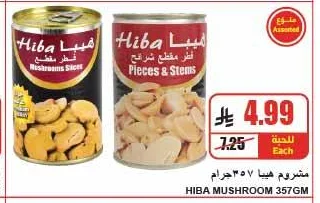 مشروم هيبا