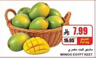 مانجو كيت مصري