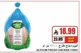 اليوم دجاج طازج