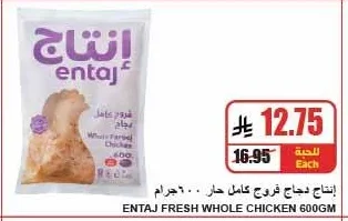 إنتاج دجاج فروج كامل