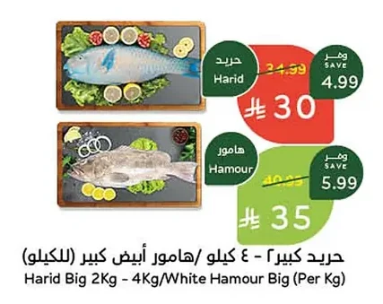 Harid Big / White Hamour Big