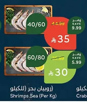 Shrimps Sea
