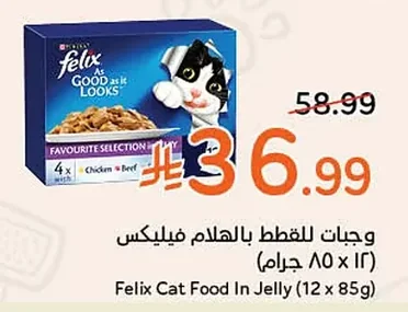 وجبات للقطط بالهلام فيلكس
