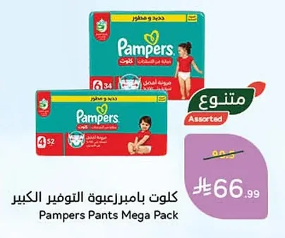 كلوت بامبرز العبوة التوفير الكبير