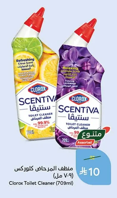 Toilet Cleaner