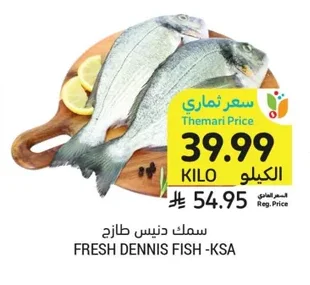 سمك دنيس طازج