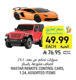 سيارات تحكم عن بعد، أصناف متنوعة. راستار