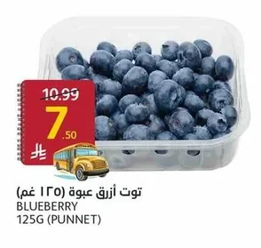 BLUEBERRY 125G (PUNNET)