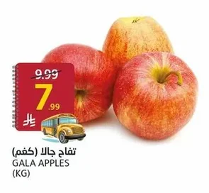 تفاح جالا (كجم)