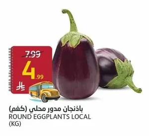 باذنجان مدور محلي (كجم)