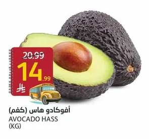 أفوكادو هاس (كجم)