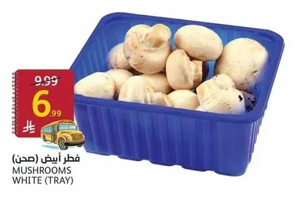 MUSHROOMS WHITE (TRAY)