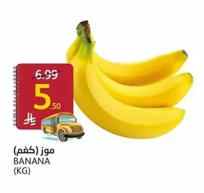 BANANA