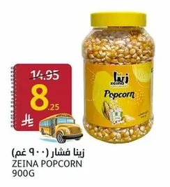 زينا فشار