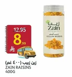 زين زبيب