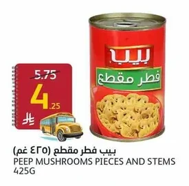 بيب فطر مقطع ٤٢٥ غم